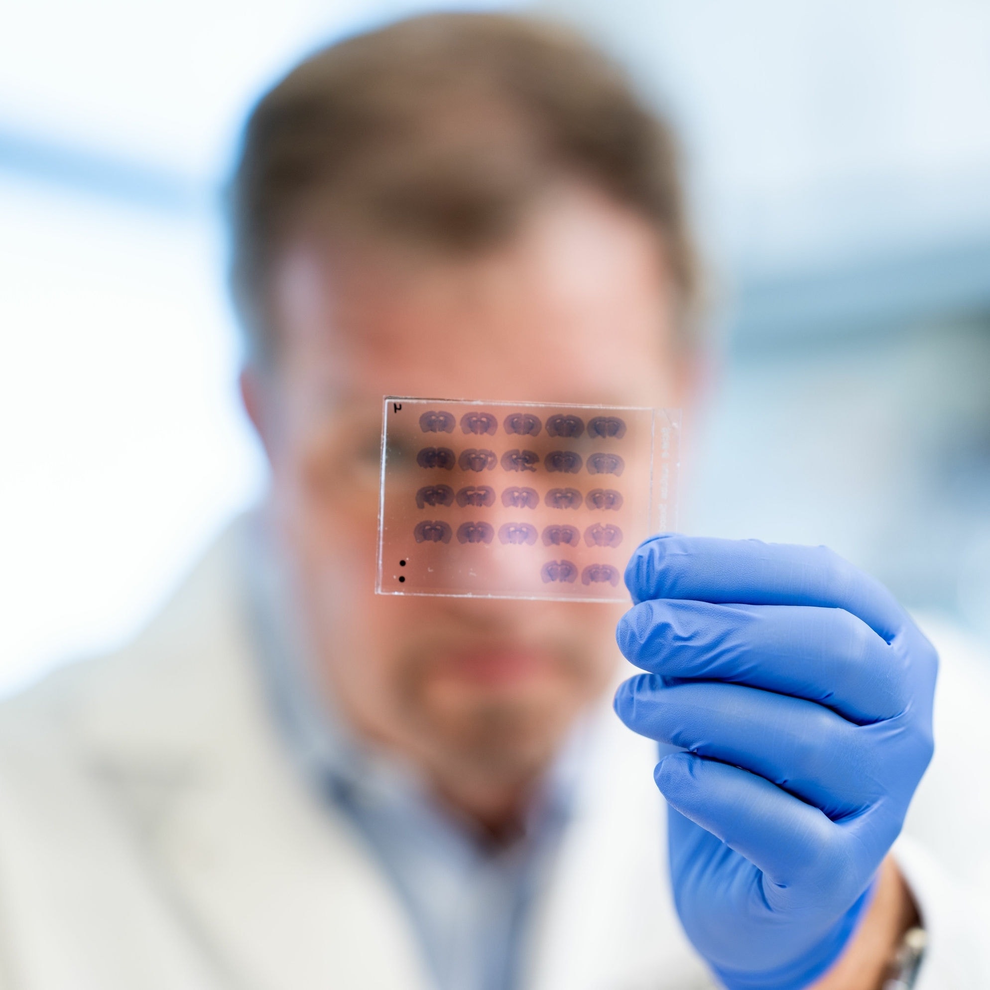 Dr. Jim Ray for the Annual Report