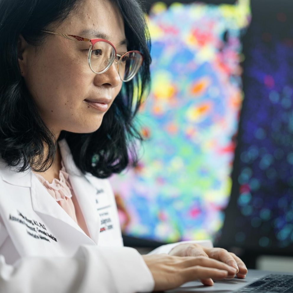 Dr. Linghua Wang in lab on laptop